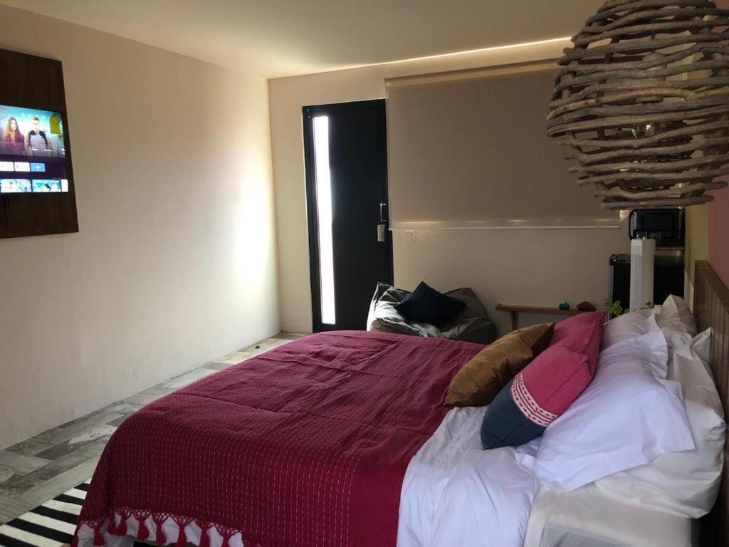 オアハカ州Casa Cronicaアパートメント エクステリア 写真